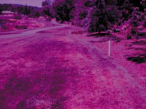 NASA草皮胁迫检测眼镜套件 NASA草皮胁迫检测眼镜套件