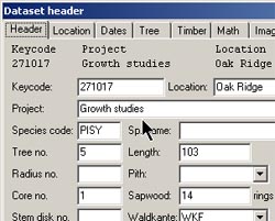LINTAB树木年轮分析仪(专业版) LINTAB树木年轮分析仪(专业版)