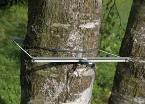DD-L树干直径生长变化传感器 DD-L树干直径生长变化传感器