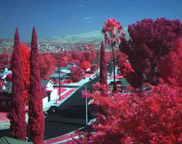 Micro-MCA Snap十二通道多光谱数码相机 Micro-MCA Snap十二通道多光谱数码相机