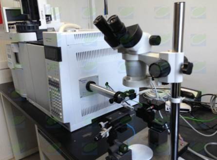 气相色谱-质谱-昆虫触角电位联用系统在中科院完成安装调试