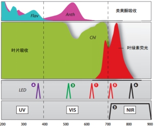 Dualex植物氮平衡指数测量仪 Dualex植物氮平衡指数测量仪