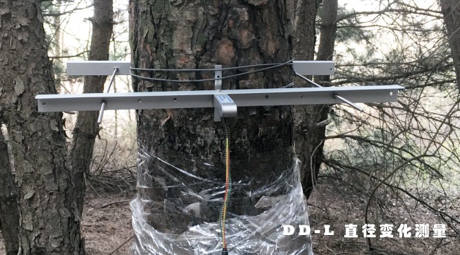 我司对中科院扶风试验站生态监测系统进行升级改造 我司对中科院扶风试验站生态监测系统进行升级改造