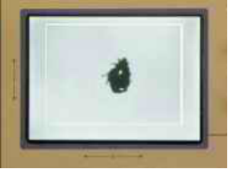 LC-700/LC-900轨迹球昆虫行为记录仪 LC-700/LC-900轨迹球昆虫行为记录仪