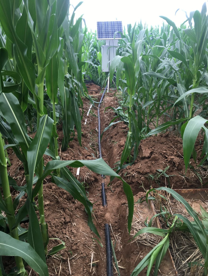 大田精准节水灌溉实验系统完成部署 大田精准节水灌溉实验系统完成部署